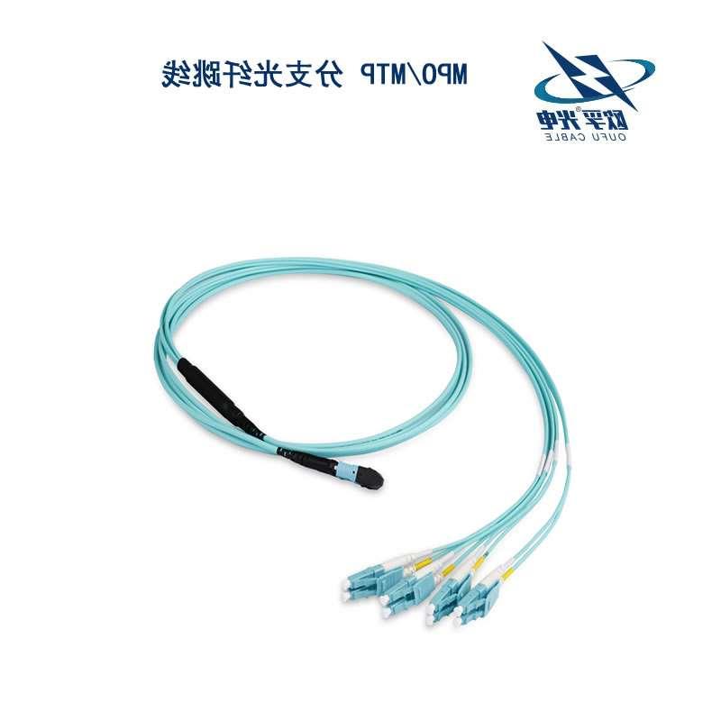 广东MPO/MTP 分支光纤跳线